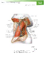 Sobotta Atlas of Human Anatomy  Head,Neck,Upper Limb Volume1 2006, page 150